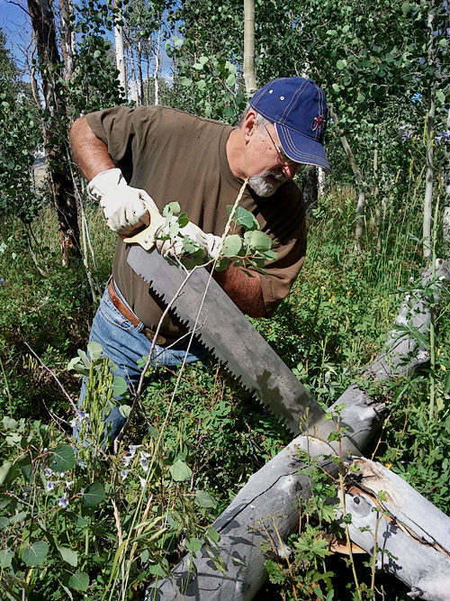 Cutting wood