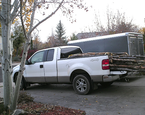 Hauling wood