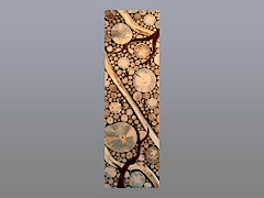 Bloodwood Flower