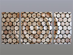 The Enchanter - Triptych
