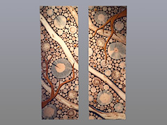 Wild Wood Diptych
