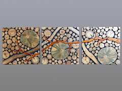 Wildwood Flower - Triptych